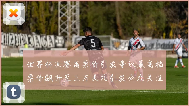 世界杯决赛高票价引发争议最高档票价飙升至三万美元引发公众关注